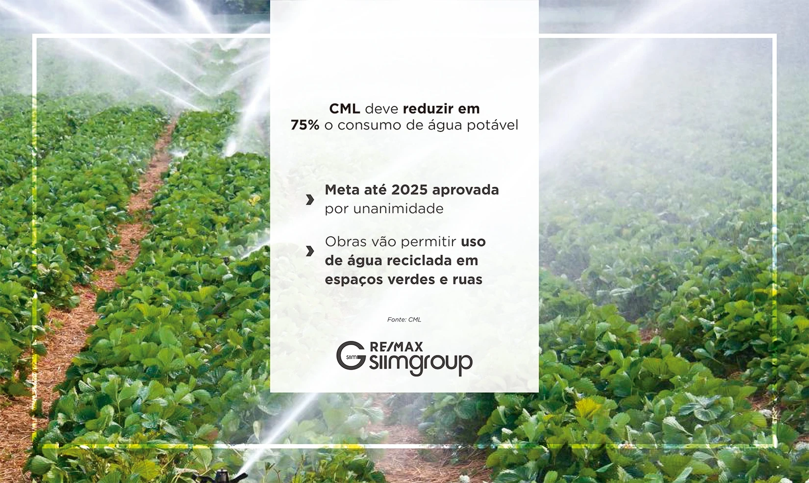 Câmara de Lisboa deve reduzir em 75% o consumo de água potável